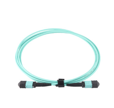 Singlemode MTP/MPO Fiber Patch Cable 12 Fiber Optic Patch Cord