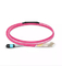 MPO MTP - LC Fiber Optic Connector MPO Fiber Optic Patch Cord Breakout Cable Assembly
