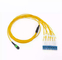 OM3 OM4 8 / 12 / 24f G657A Fiber Optic Patch Cord 1m 3m 5m MPO MPO