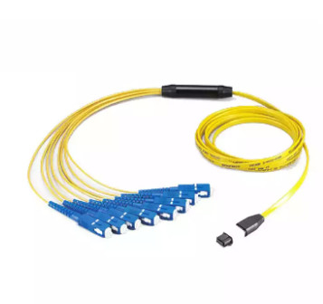 12 lõi MTP / MPO - Dây vá SC SM được sử dụng bên trong hộp mô-đun