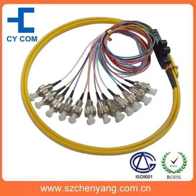Chất lượng FC/SC/ST 12 Core Ribbon Packaging Sợi quang Pigtail Nhà máy