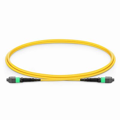chất lượng Cáp nhảy MPO với IL thấp 0.35dB cho bộ thu phát 800G QSFP-DD và Sợi quang không nhạy uốn G.657.A1 nhà máy sản xuất