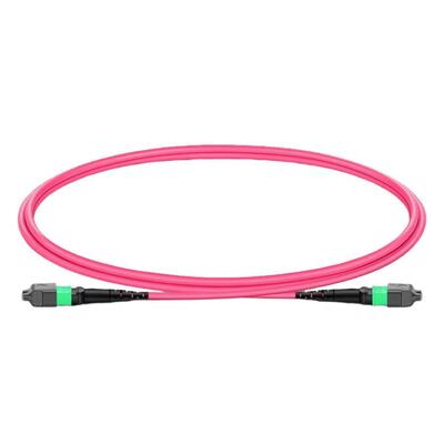 Chất lượng Cáp nhảy MPO với Sợi quang không nhạy uốn cong, bán kính uốn cong tối thiểu 7.5mm và đầu nối APC cho bộ thu phát 400G Nhà máy